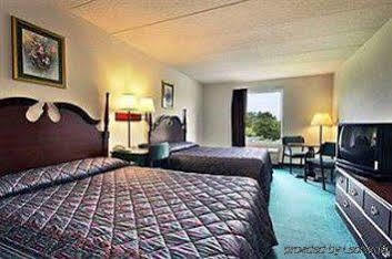 Motel President &